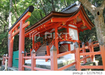 奈良春日大社の静謐な森の風景 121767913