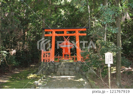 奈良春日大社の静謐な森の風景 奈良春日大社の静謐な森の風景 121767919