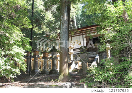 奈良春日大社の静謐な森の風景 奈良春日大社の静謐な森の風景 121767926
