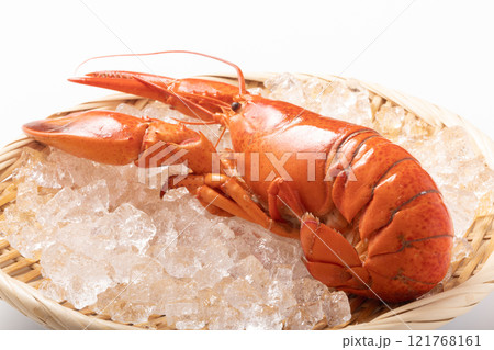 ［カナダ産］ボイル　オマール海老 121768161