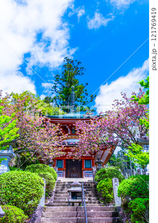 鞍馬寺の多宝塔と八重桜 鞍馬寺の多宝塔と八重桜 121769419