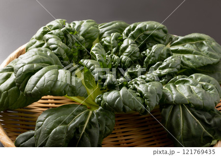 ［宮城県産］ターサイ 121769435