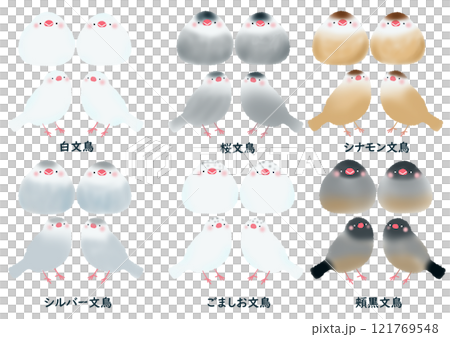シンプルなかわいい六種類の文鳥セット シンプルなかわいい六種類の文鳥セット 121769548