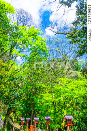 鞍馬寺の献灯篭と新緑 121769991