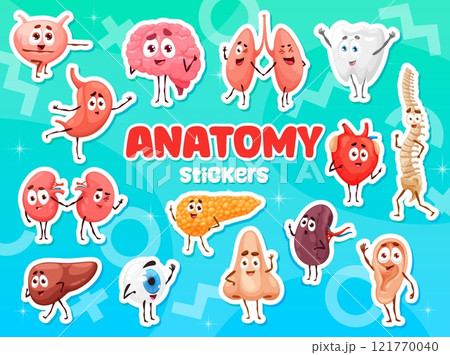 Cartoon human organ characters stickers pack. Human body anatomy childish personages vector stickers set. Heart, brain, kidney and lung, tooth, uterus internal organs cheerful cartoon characters Cartoon human organ characters stickers pack. Human body anatomy childish personages vector stickers set. Heart, brain, kidney and lung, tooth, uterus internal organs cheerful cartoon characters 121770040