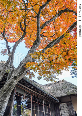 依水園（奈良市） 121770363