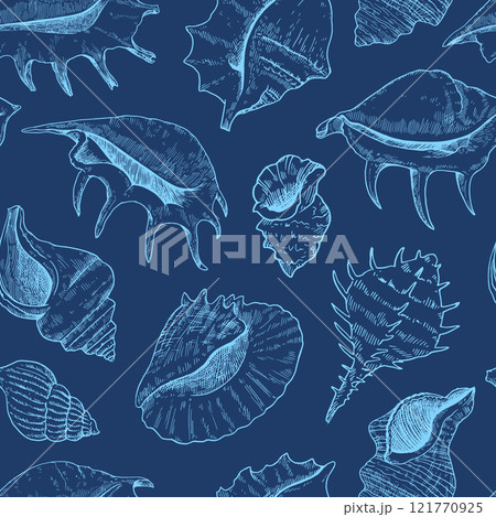 Seamless pattern with shells. Black and white detailed ink illustrations for design. 121770925