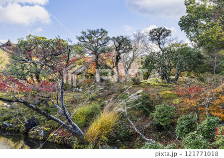 依水園（奈良市）後園の花木 121771018