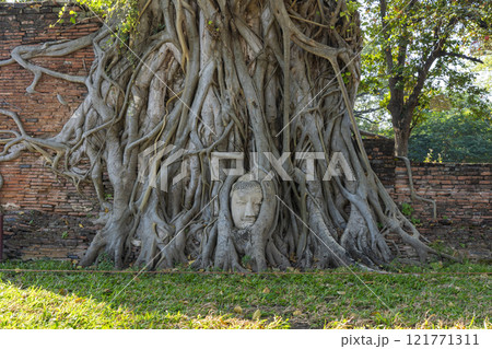 タイのアユタヤ遺跡ワットマハタート タイのアユタヤ遺跡ワットマハタート 121771311