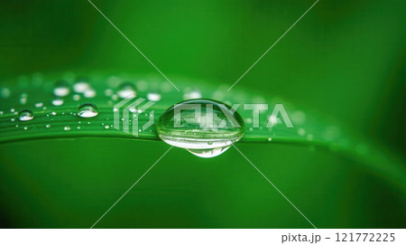 Close-up of fresh water droplet on green leaf, natural beauty concept, eco-friendly background, nature design, purity and freshness, organic products, skincare, herbal cosmetics, spa themes, wellness Close-up of fresh water droplet on green leaf, natural beauty concept, eco-friendly background, nature design, purity and freshness, organic products, skincare, herbal cosmetics, spa themes, wellness 121772225