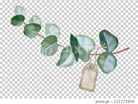 Illustration of eucalyptus branch and paper tag. Airy watercolor for creating postcards, invitations to weddings, birthdays, etc. Botanical drawing of green leaves. For design of cosmetics, perfumes. 121772656