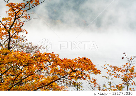 紅葉の箱根　芦ノ湖 121773030