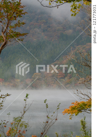 紅葉の箱根　芦ノ湖 121773031