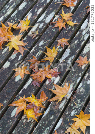 紅葉の箱根　芦ノ湖 121773033