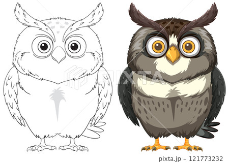 Owl Illustration with Outline and Color 121773232