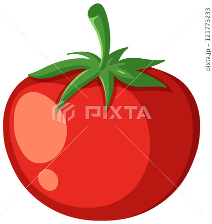 Vibrant Red Tomato Illustration 121773233