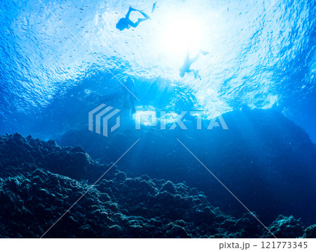 巨大なオオモンカエルアンコウと観察するスキンダイバーたち。 静岡県伊豆半島賀茂郡南伊豆町中木ヒリゾ浜 121773345