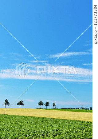 北海道　青空のメルヘンの丘 121773584