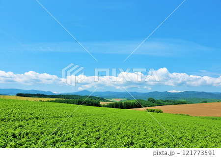 北海道　夏の青空と美瑛の風景 121773591