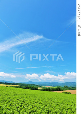 北海道　夏の青空と美瑛の風景 121773592