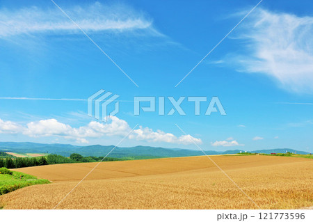 北海道　夏の青空と美瑛の風景 121773596