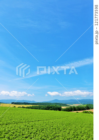 北海道　夏の青空と美瑛の風景 121773598