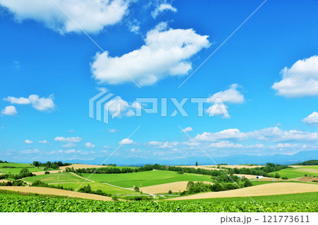 北海道 夏の青空と美瑛の風景 北海道 夏の青空と美瑛の風景 121773611