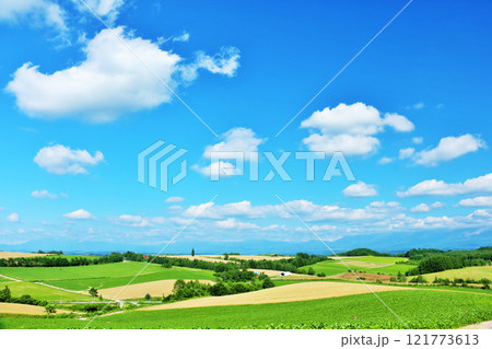 北海道　夏の青空と美瑛の風景 121773613
