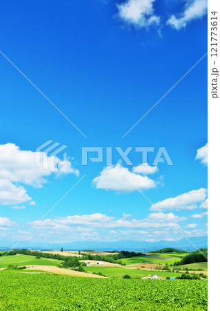 北海道　夏の青空と美瑛の風景 121773614