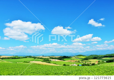 北海道　夏の青空と美瑛の風景 121773615