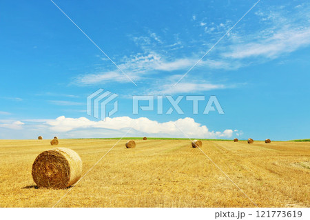 北海道 美瑛 夏の青空と牧草ロールの大地 北海道 美瑛 夏の青空と牧草ロールの大地 121773619