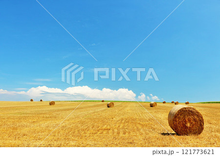 北海道 美瑛 夏の青空と牧草ロールの大地 北海道 美瑛 夏の青空と牧草ロールの大地 121773621