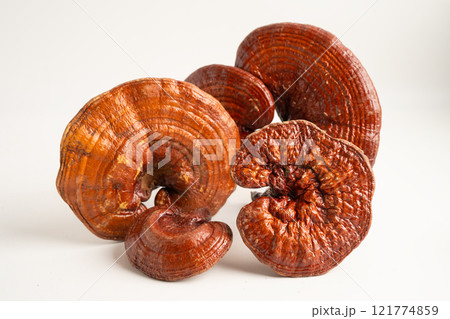 Dried lingzhi mushroom with capsule drug, alternative medicine herbal organic herb. Dried lingzhi mushroom with capsule drug, alternative medicine herbal organic herb. 121774859