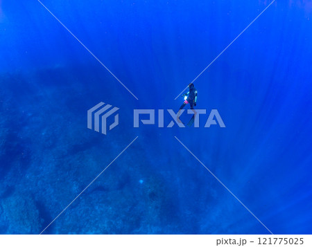 美しいイソギンチャク畑の可愛いクマノミ（クマノミ亜科）のペア他。スキンダイバーも泳いでいる。ヒリゾ浜 121775025