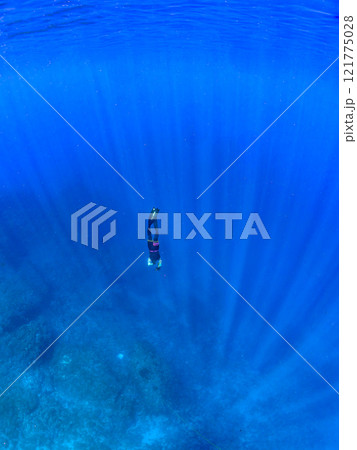 美しいイソギンチャク畑の可愛いクマノミ(クマノミ亜科)のペア他。スキンダイバーも泳いでいる。ヒリゾ浜 美しいイソギンチャク畑の可愛いクマノミ(クマノミ亜科)のペア他。スキンダイバーも泳いでいる。ヒリゾ浜 121775028