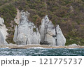 奇岩の絶景　下北半島・仏ヶ浦 121775737