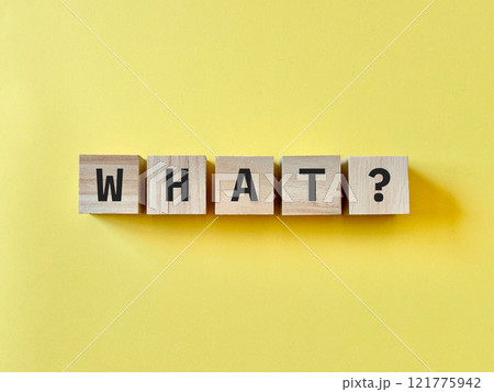 WHAT? 文字ブロック 121775942