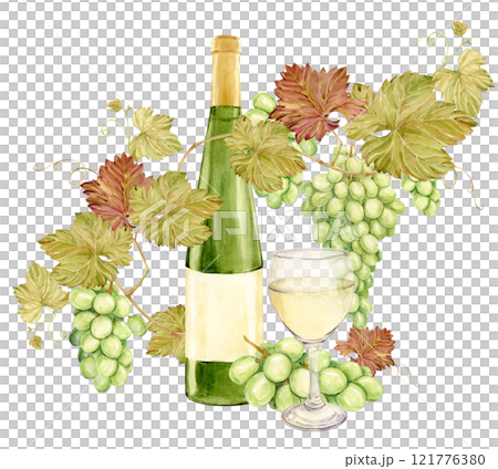 On the table lies a watercolor branch with white grapes, and next to it a glass of white wine and a bottle of green glass. Illustration of green berries. Clipart for tasting, menu, wine list. 121776380