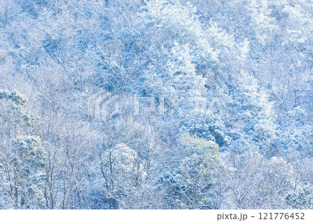 雪が降った山 雪が降った山 121776452
