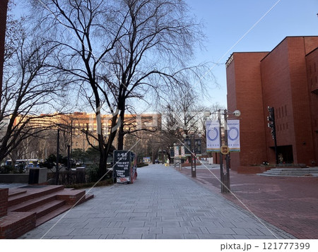 韓国ソウル　大学路　アルコ芸術劇場とマロニエ公園 121777399