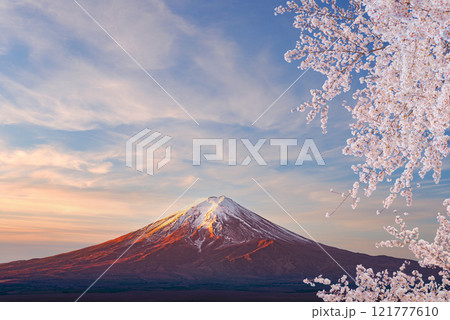 桜咲く朝焼けの富士山 桜咲く朝焼けの富士山 121777610
