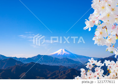 桜咲く新春の富士山 121777611