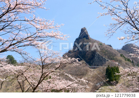 群馬県下仁田町、妙義山を望む妙義さくらの里 121779038