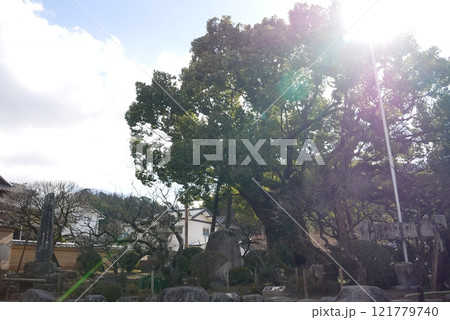 福岡県　太宰府天満宮　天満宮内の風景 121779740