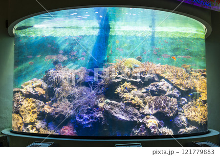 View of the coral aquarium at the National Museum of Marine Biology and Aquarium in Kenting National Park of Pingtung, Taiwan. View of the coral aquarium at the National Museum of Marine Biology and Aquarium in Kenting National Park of Pingtung, Taiwan. 121779883