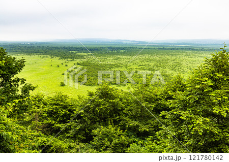 【北海道_釧路湿原】コッタロ展望台からの眺望 7月 121780142