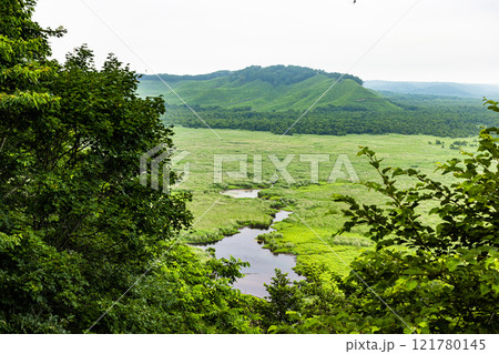 【北海道_釧路湿原】コッタロ展望台からの眺望 7月 121780145