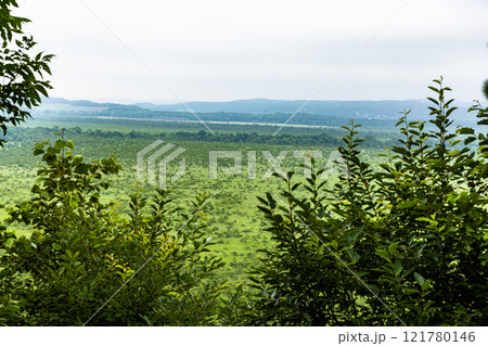 【北海道_釧路湿原】コッタロ展望台からの眺望 7月 121780146
