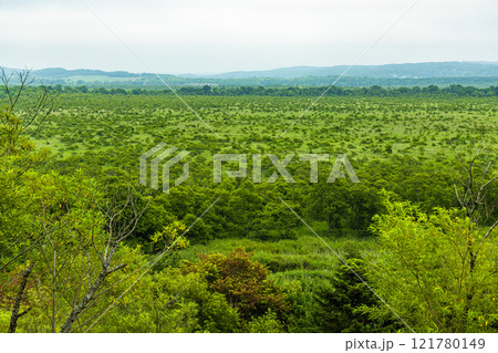 【北海道_釧路湿原】コッタロ展望台からの眺望 7月 121780149