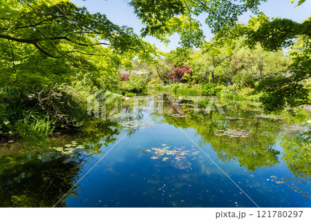 高知県の北川村モネの庭マルモッタン 121780297